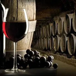 Разходи се из винарна