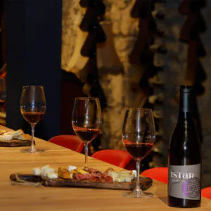 degustaciya-vino-bononia-vidin